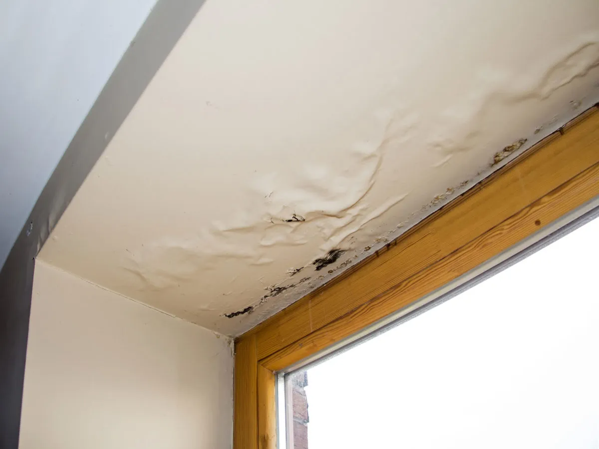 Humidity & Trapped-Moisture Roof Repair in Memphis, TN